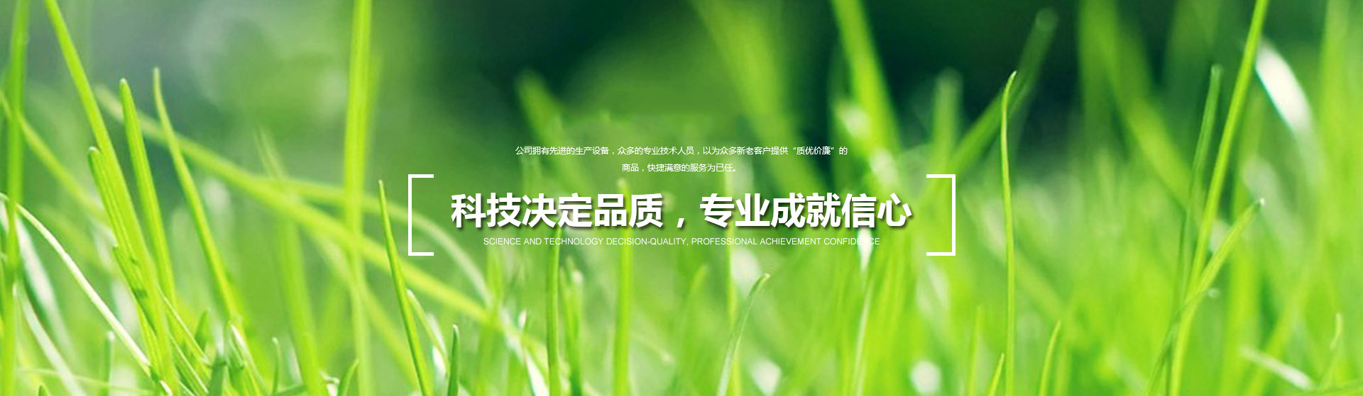 員工風(fēng)采